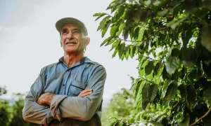 homem-latino-colhendo-graos-de-cafe-em-um-dia-ensolarado-o-agricultor-de-cafe-esta-colhendo-bagas-de-cafe-brasil_63135-4122